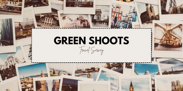 OTT Green shoots survey