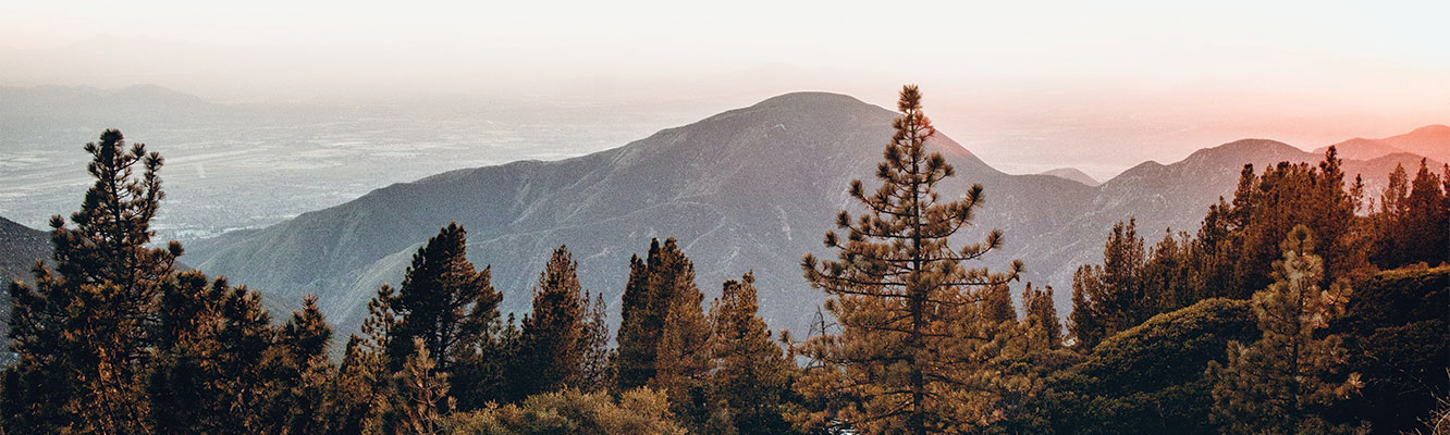 Inland Empire